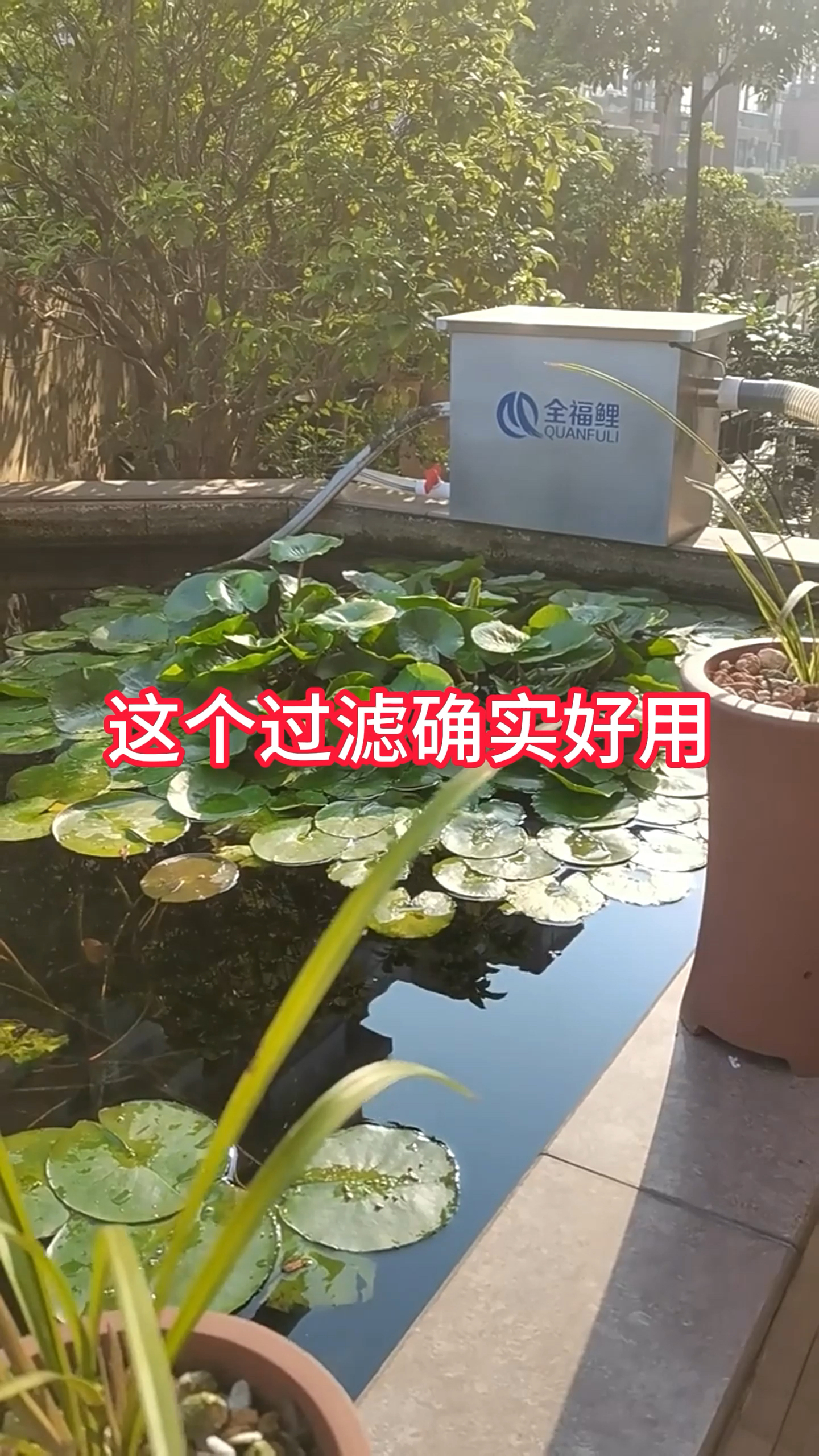 确实好用的鱼池过滤器