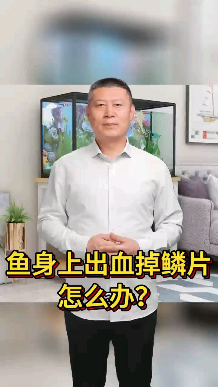 鱼身上出血掉鳞片怎么办?