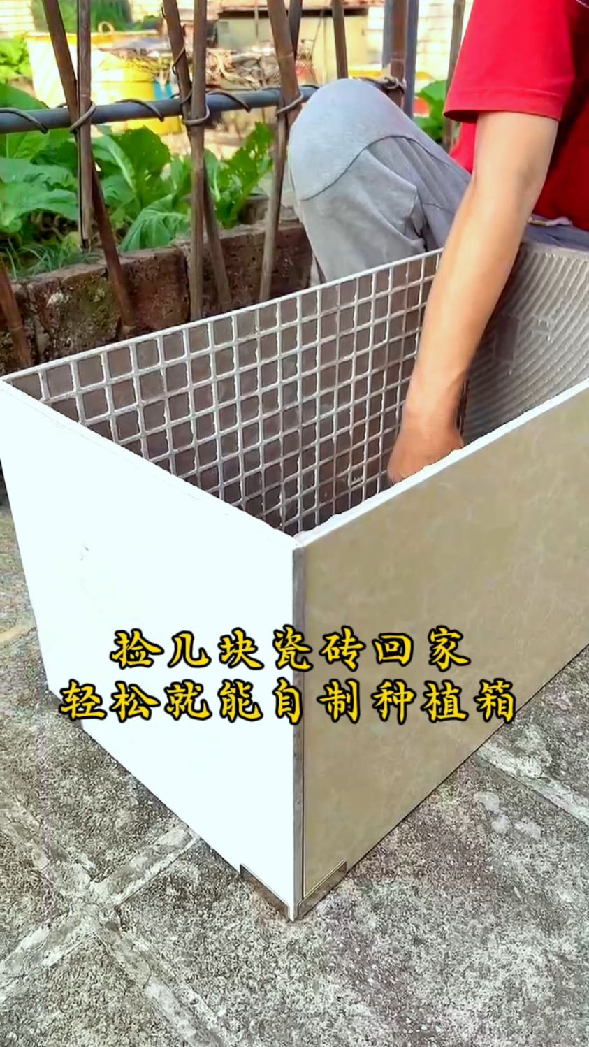 捡五块瓷砖回家轻松变废为宝自制网红种植箱