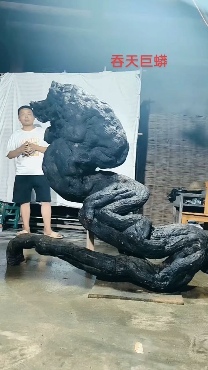 金弹子吞天巨蟒这个漂亮