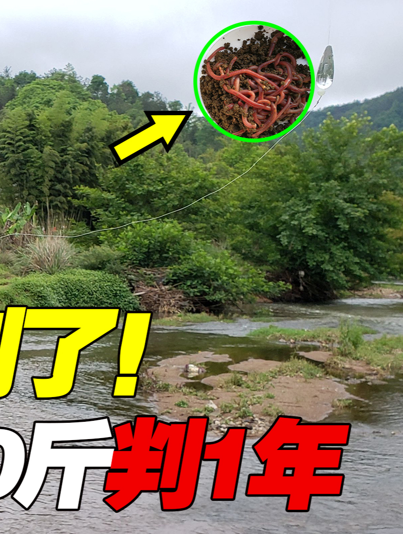 活蚯蚓钓鱼判了1年!川妹子用路亚竿钓鲢鳙120斤,被警察直接按倒