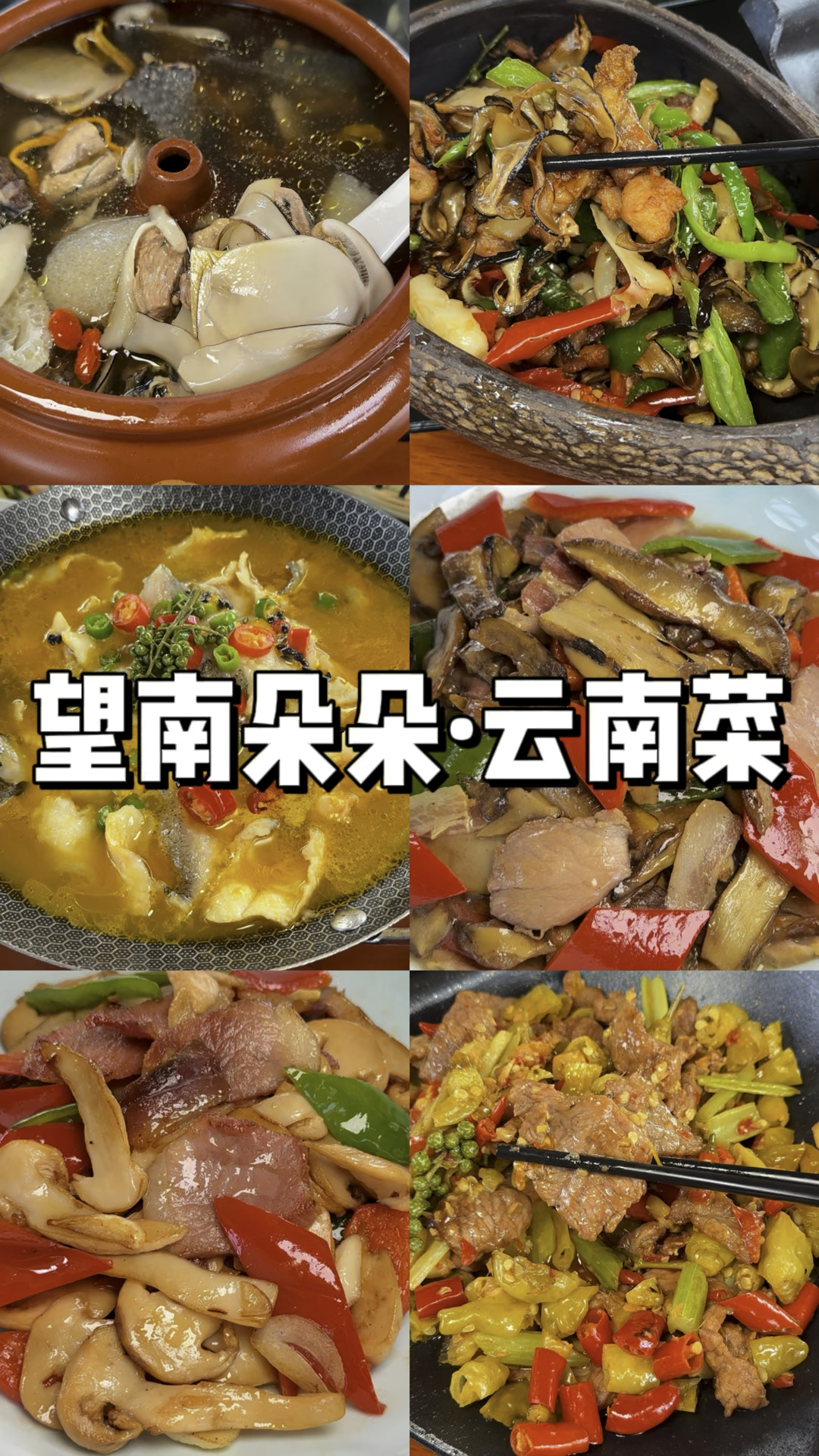 一分钟带大家看看云南菜究竟有多好吃