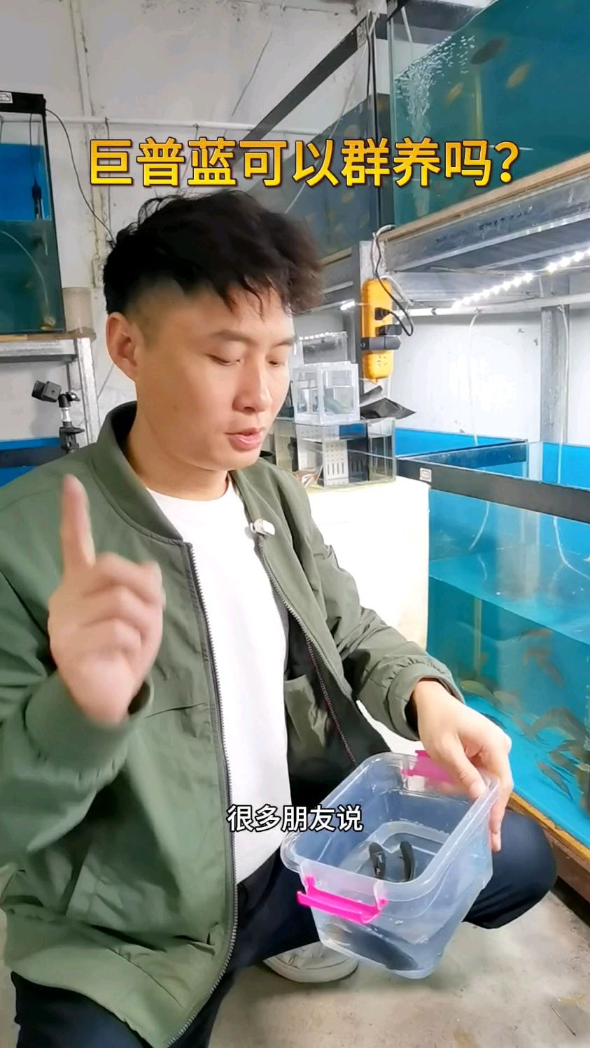 你们养的都还好没?