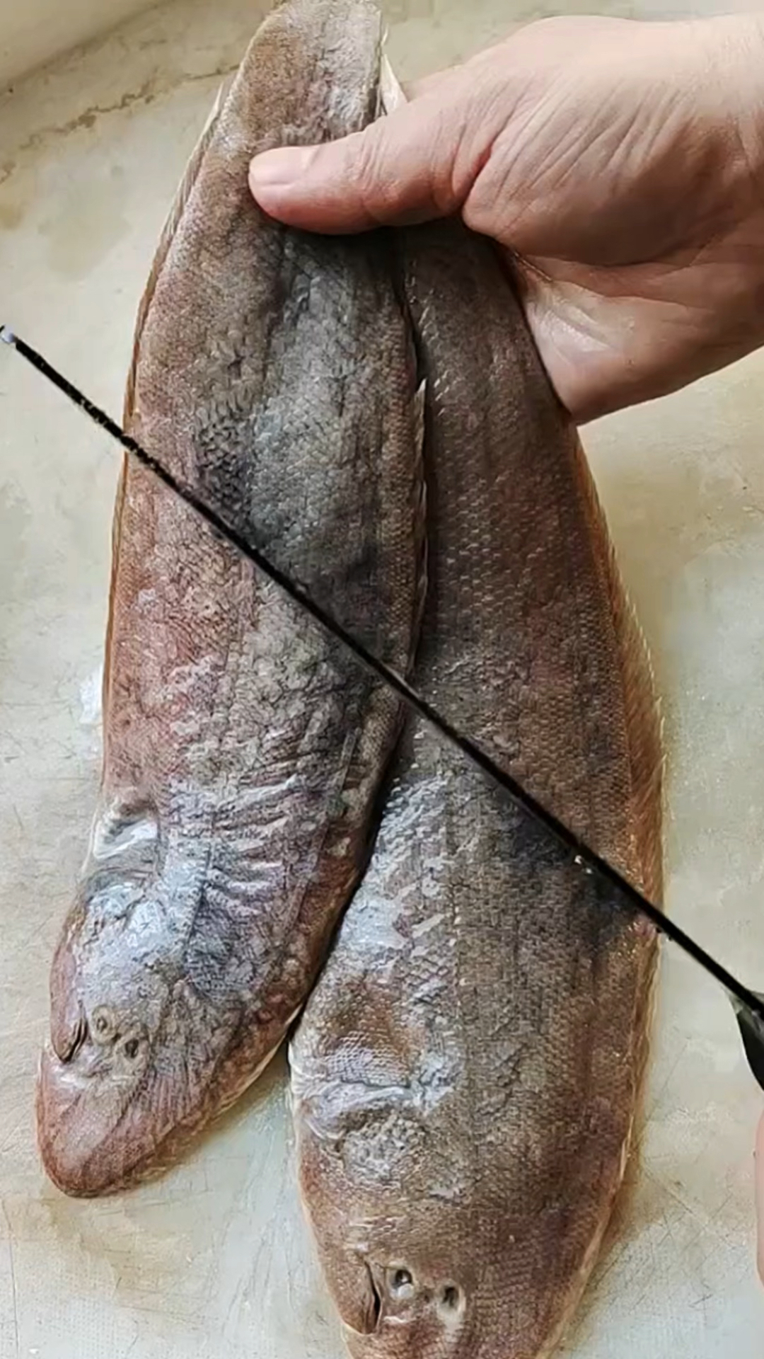 小鱼的快速改刀方法