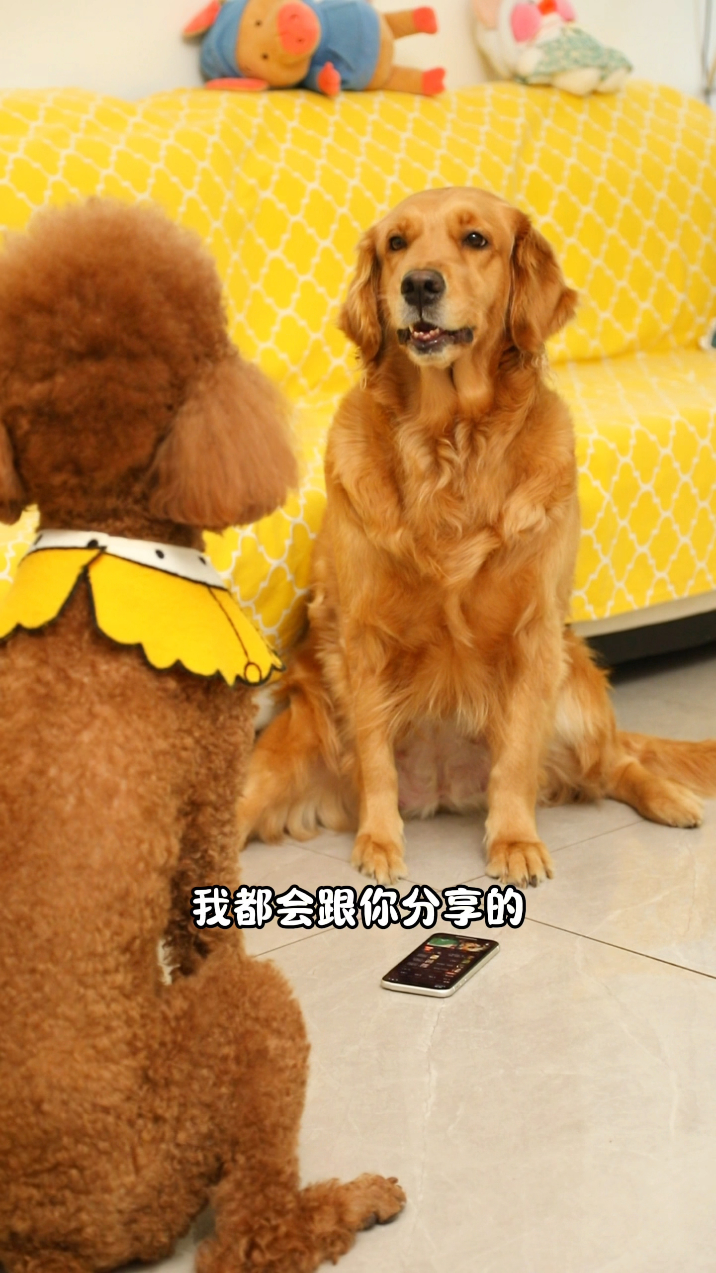 coco和奶茶是相亲相爱的姐妹