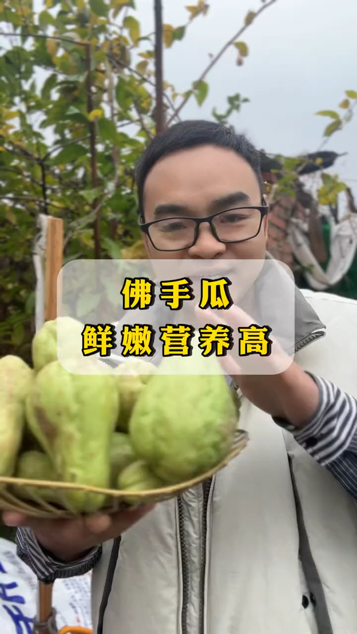 佛手瓜耐热蔬菜