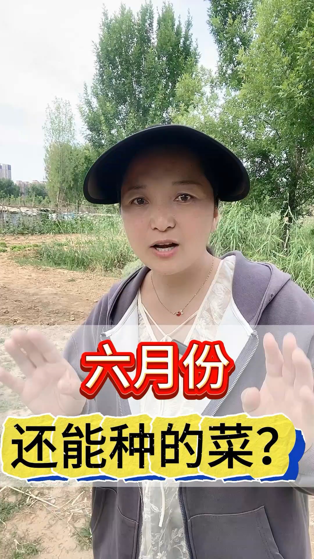 六月份还能种什么菜?