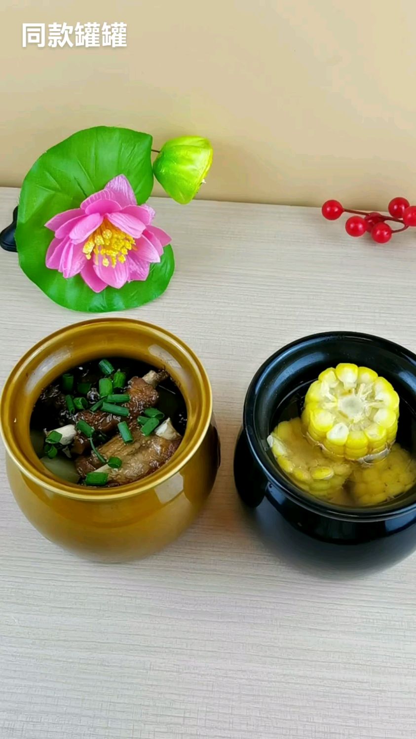 简餐,无油烟,瓦罐煨汤家用煲汤炖盅婴儿一人份同款小炖盅