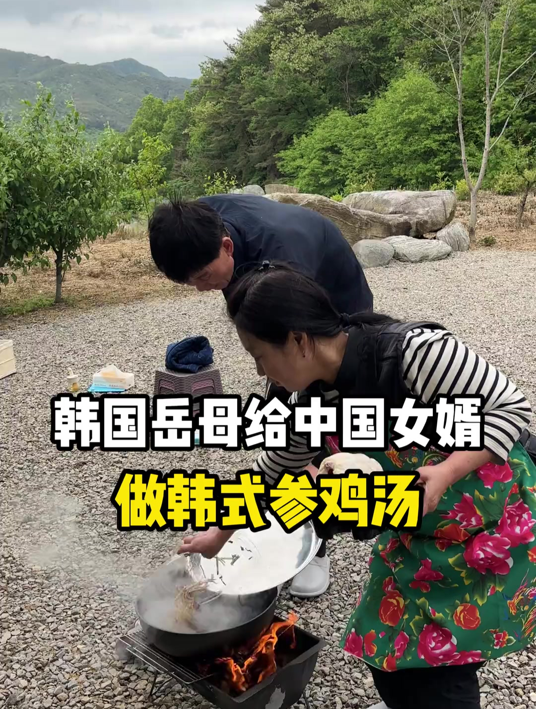 韩国岳母给中国女婿做韩式参鸡汤