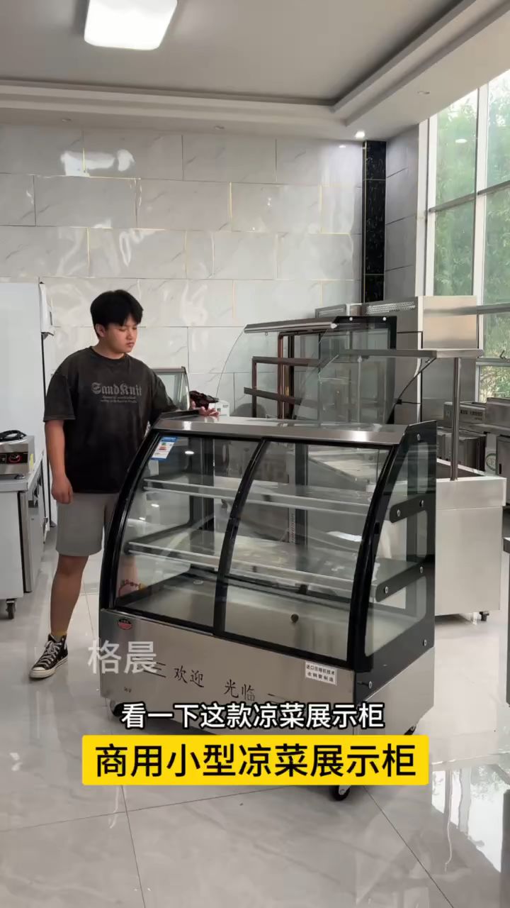 小型凉菜冷藏展示柜