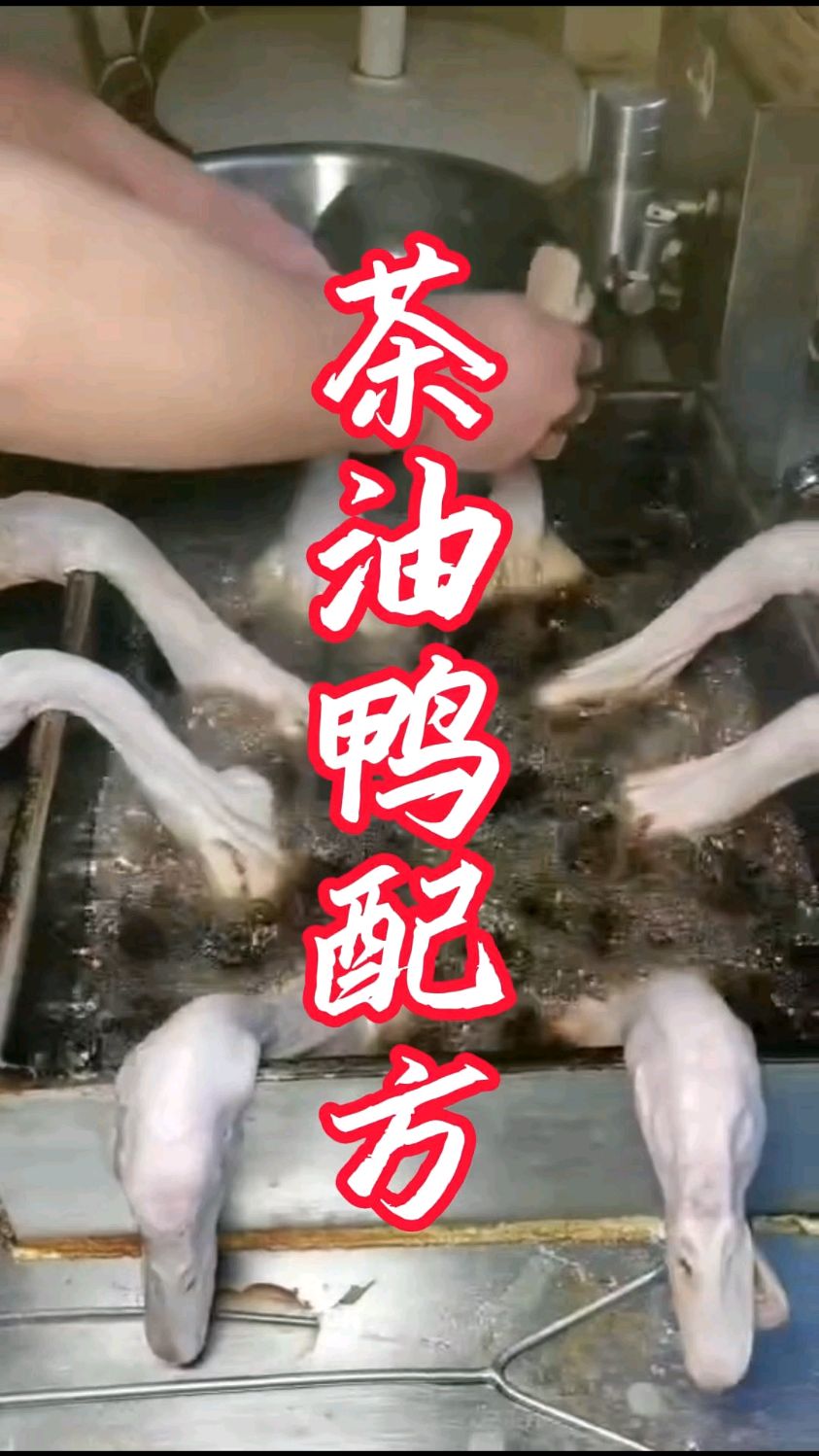 分享一种茶油鸭的配方比例真实有效