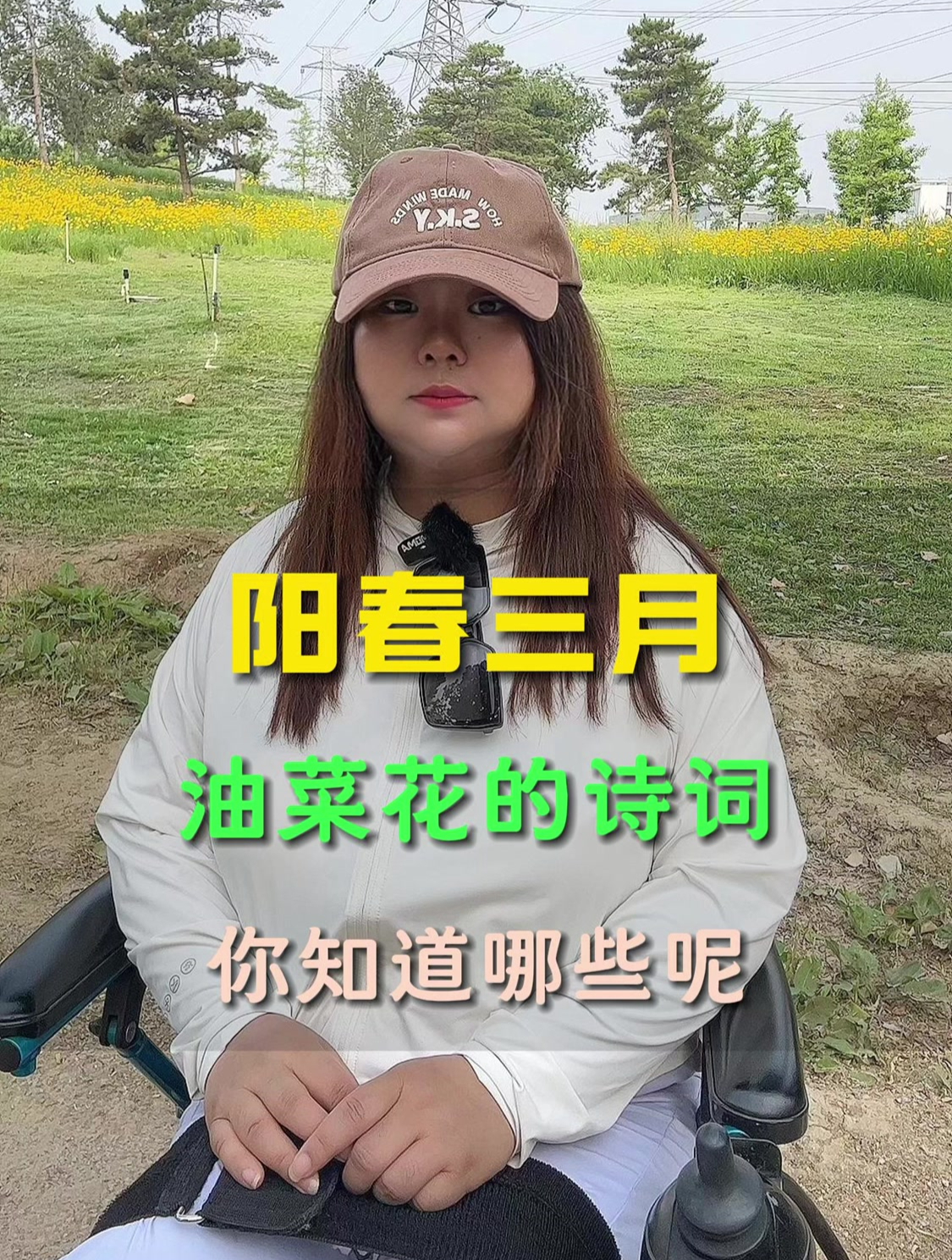 阳春三月油菜花美景诗词 那些描写油菜花的醉人诗句