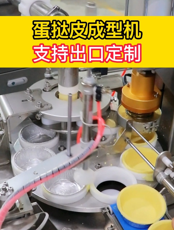 全自动蛋挞皮成型机,支持出品定制