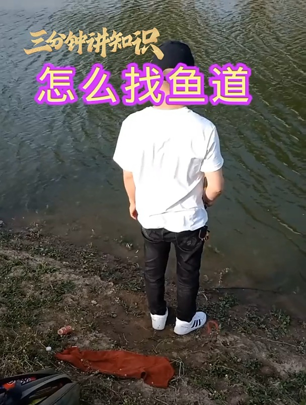 钓鱼怎么找鱼道?老钓友总结这4个方法!