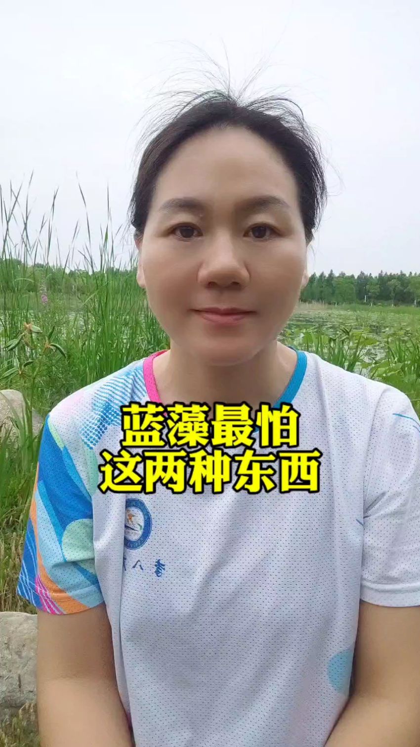 蓝藻最怕这两种东西#鱼虾蟹水产养殖#高密度养殖#南美白对虾养殖