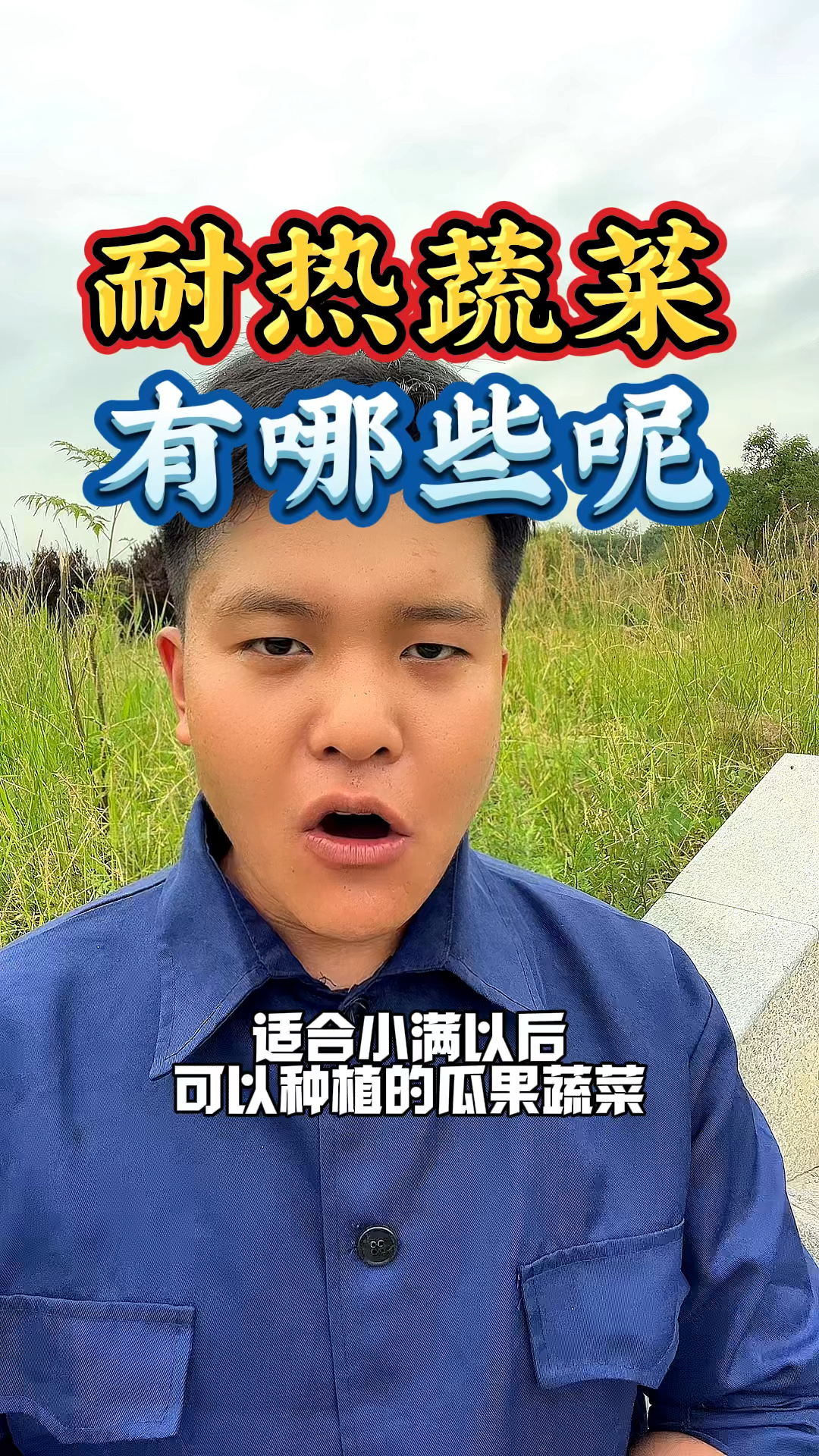 适合小满以后可以种植的耐热蔬菜有哪些呢