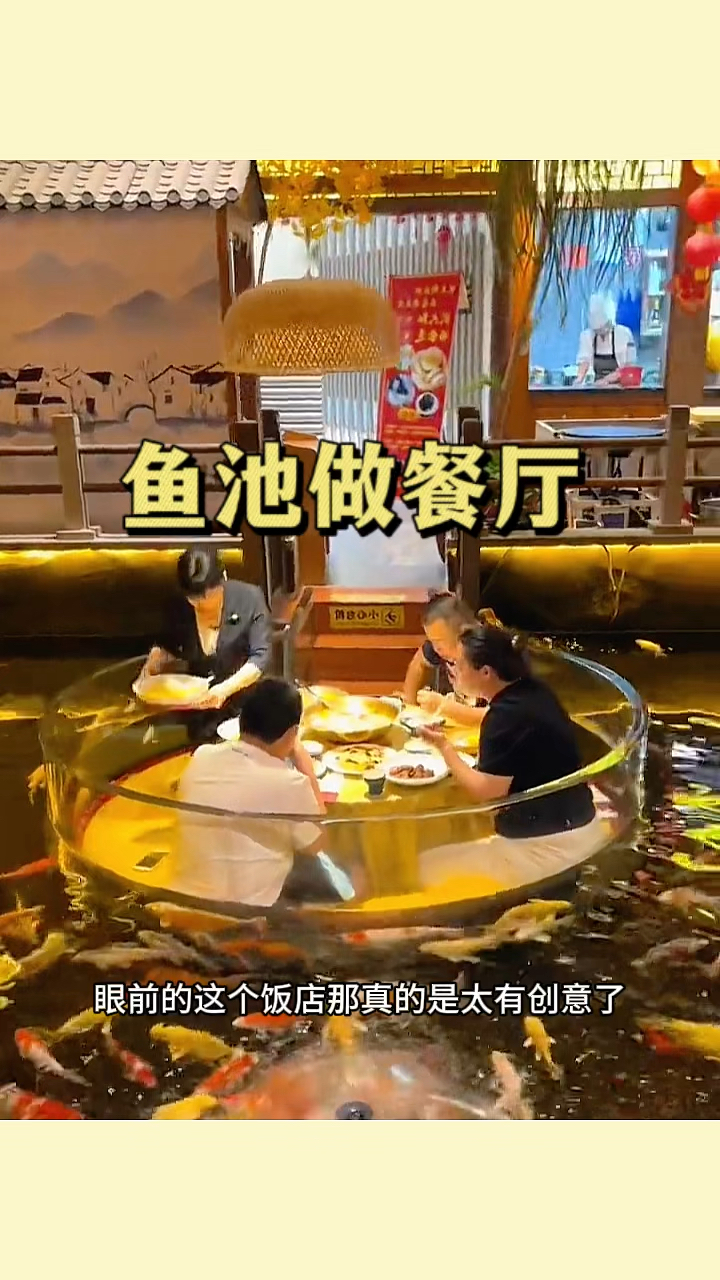 鱼池做餐厅,大开眼界了