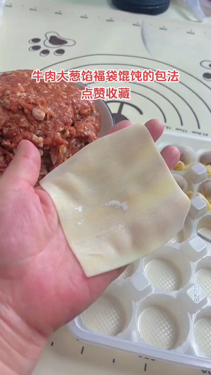 牛肉大葱馅福袋馄饨的包法