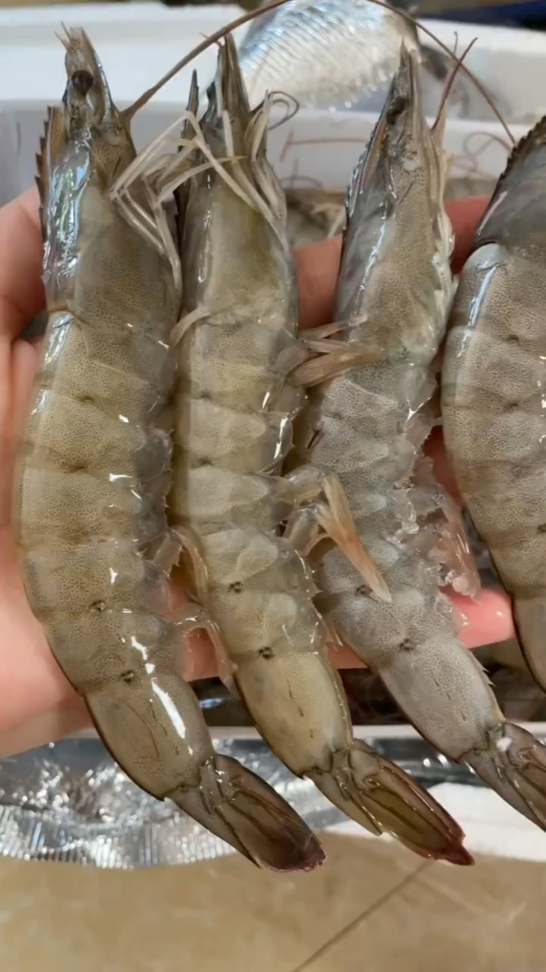 海捕大虾解冻后超级新鲜,肉质微甜有嚼劲,清水随便一煮都好吃