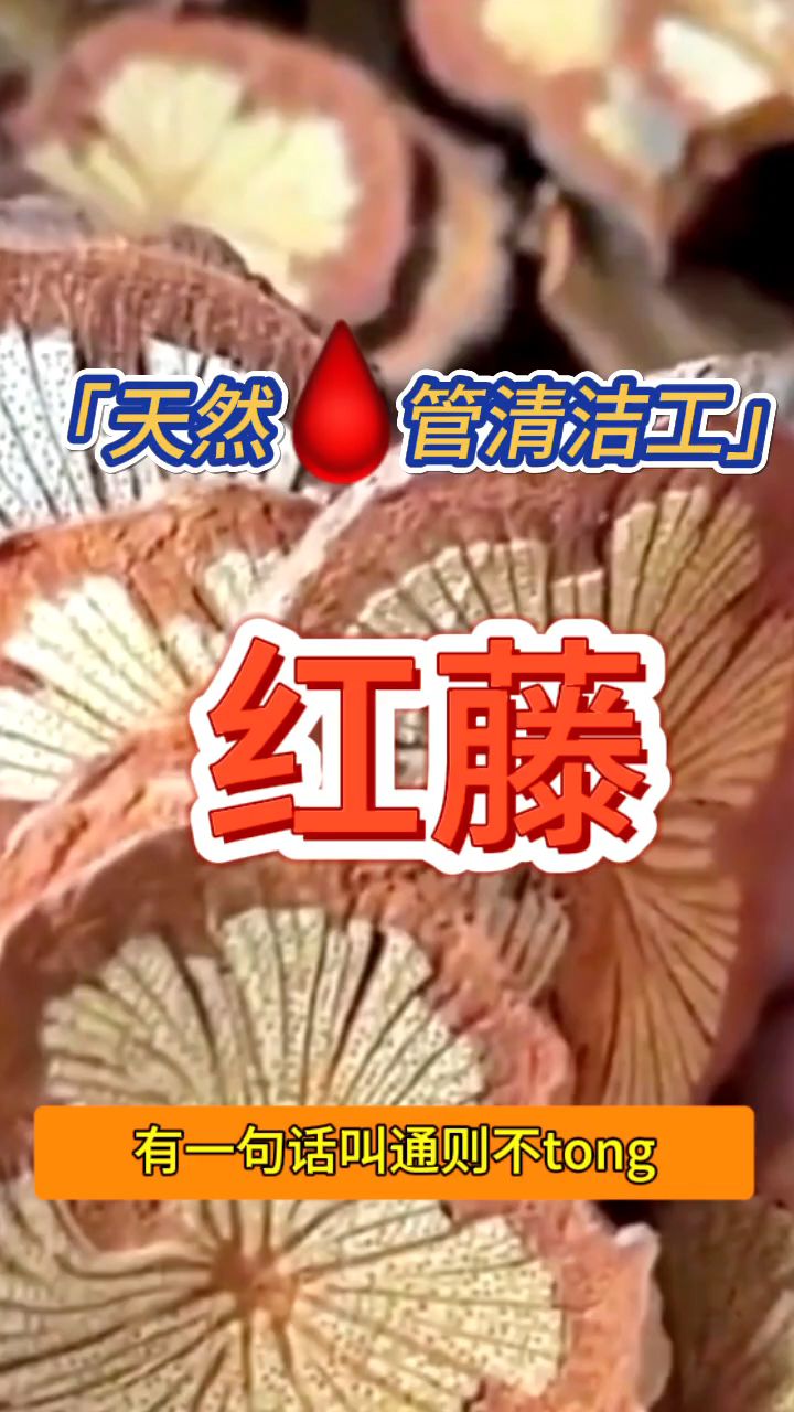 红藤又名「大血藤」,听名字你应该知道它是干嘛用的