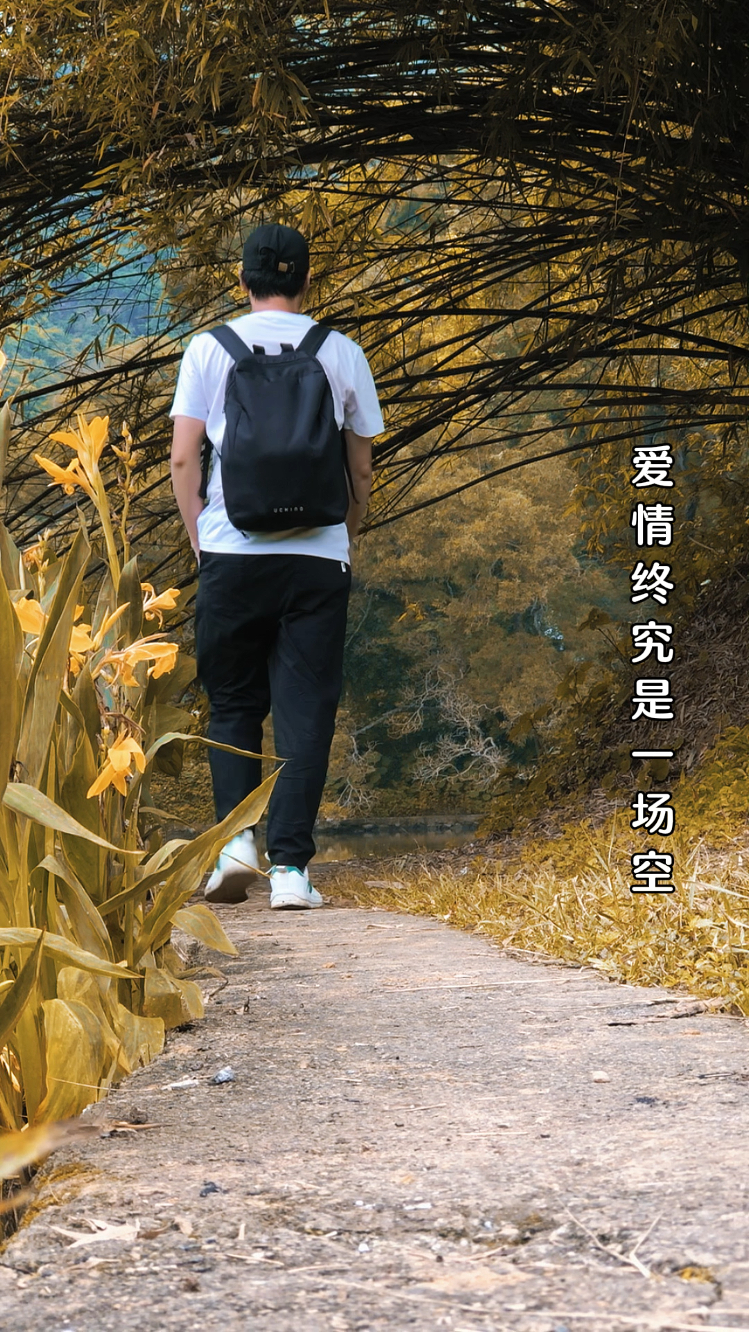 新手小白摄影,只需一个八爪鱼支架就可以拍出孤独感,情绪小短片