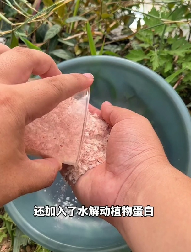 钓鲢鳙用什么鱼饵?选饵要看哪几点?老钓友这样说!