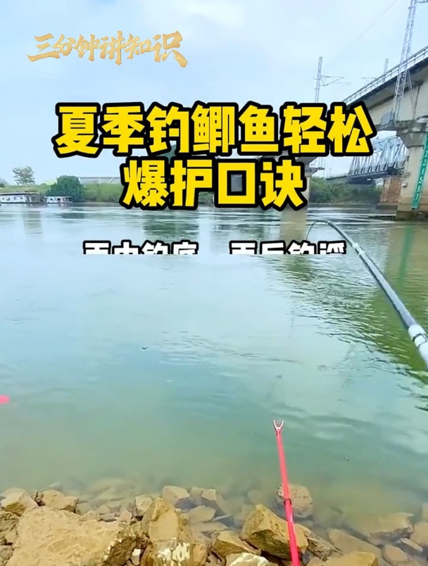 夏季钓鲫鱼,这7句口诀要牢记!