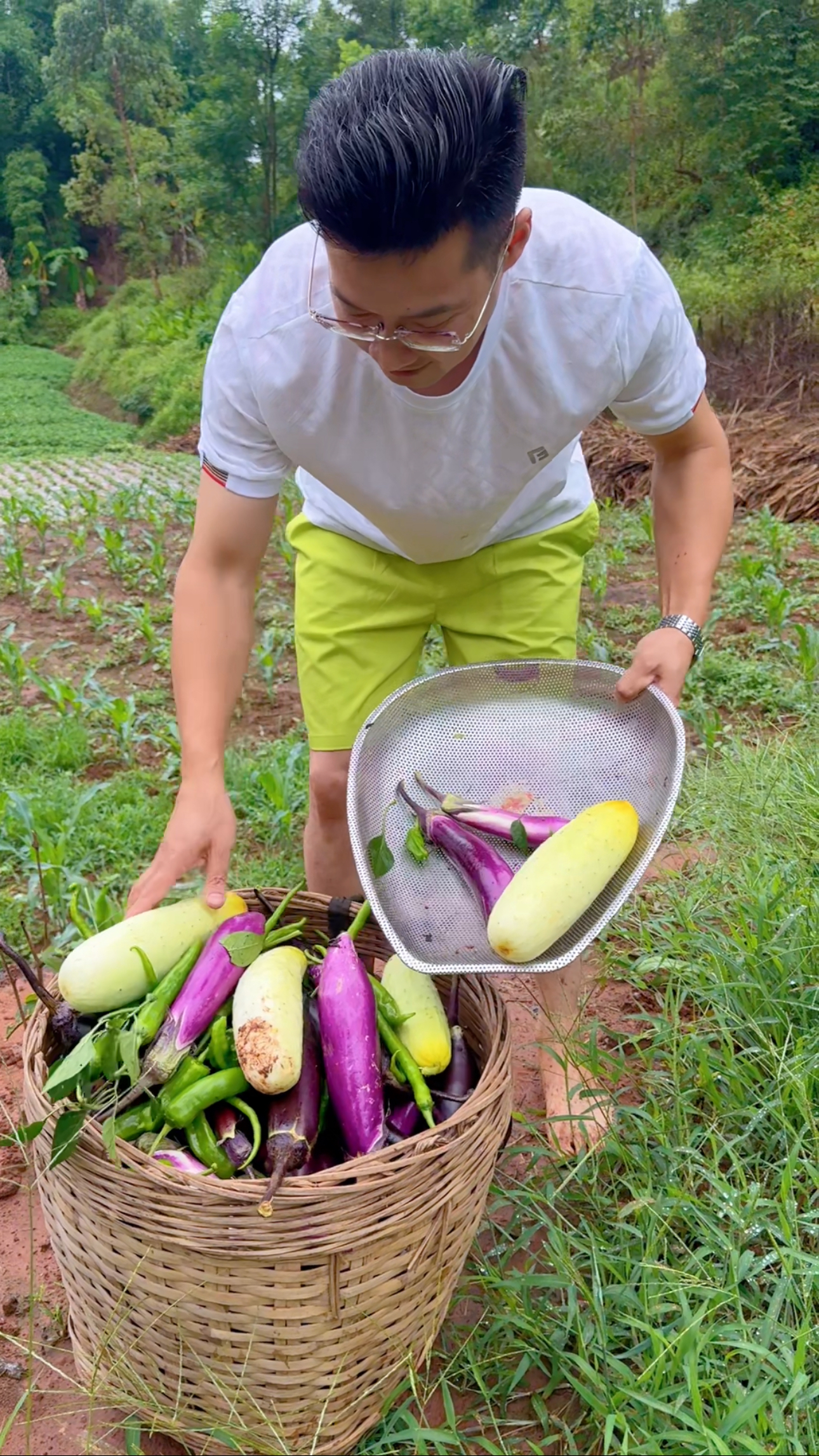 茄子摘不完,根本摘不完,这季节吃不完的各种蔬菜!