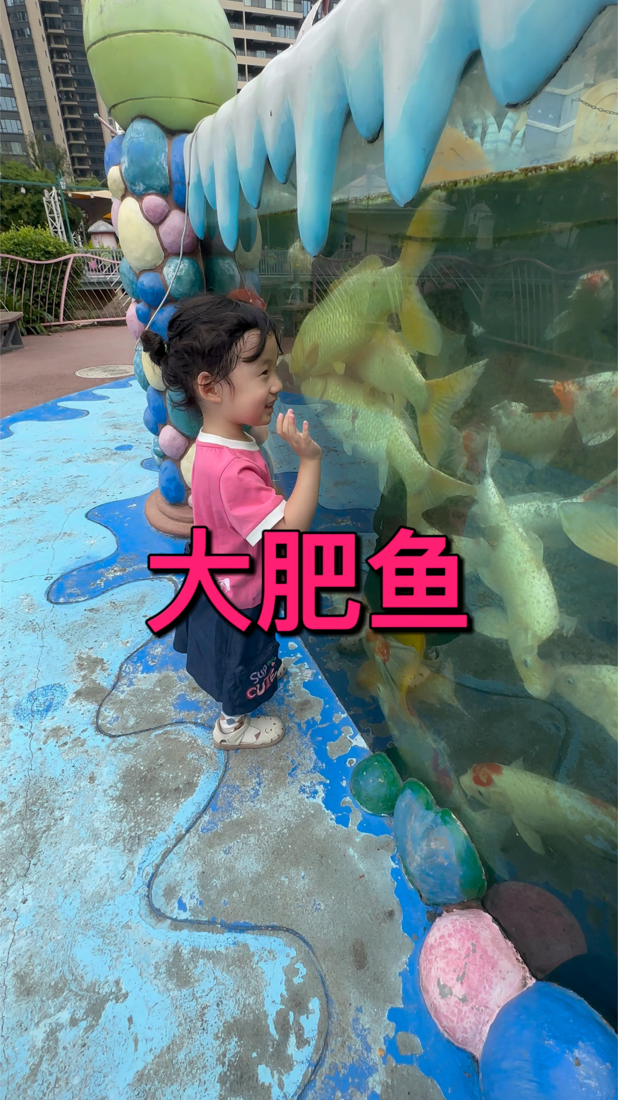 我的好朋友大肥鱼