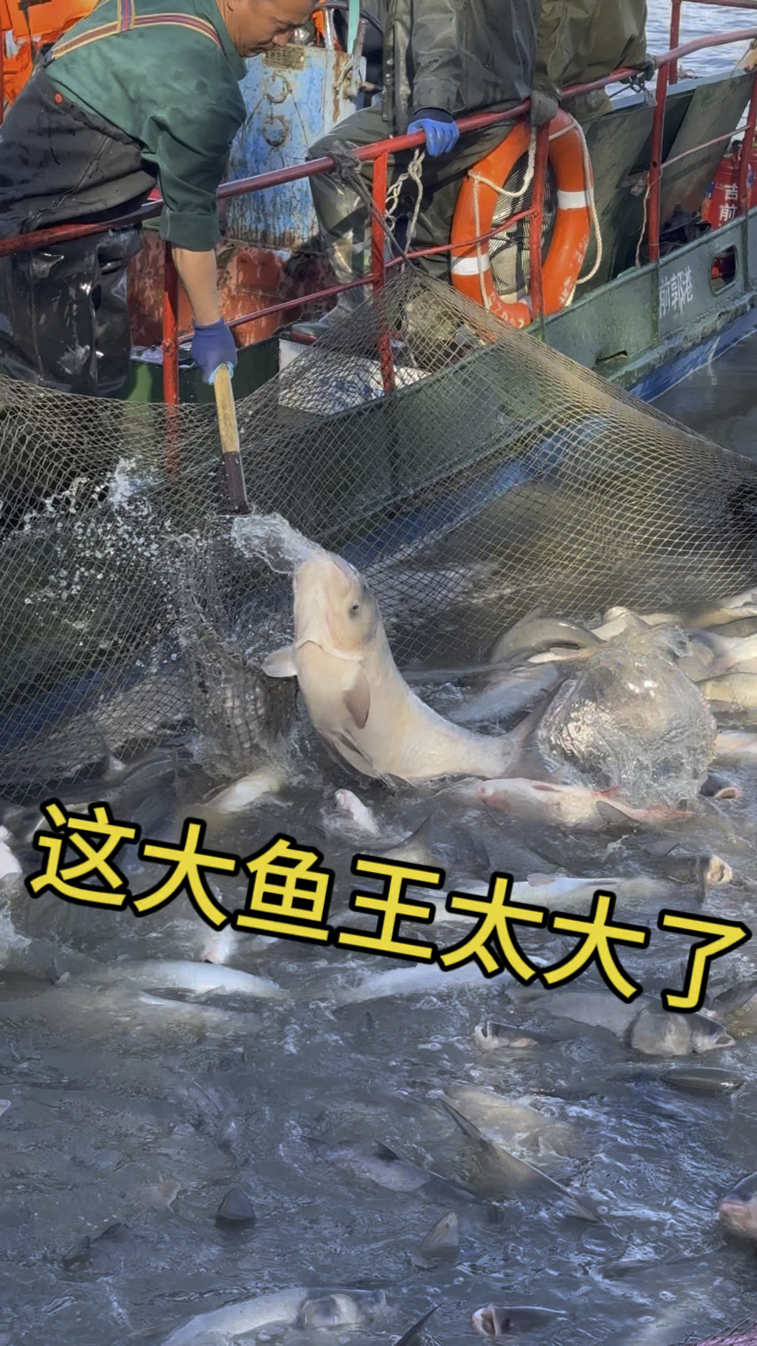 查干湖捕大胖头鱼王