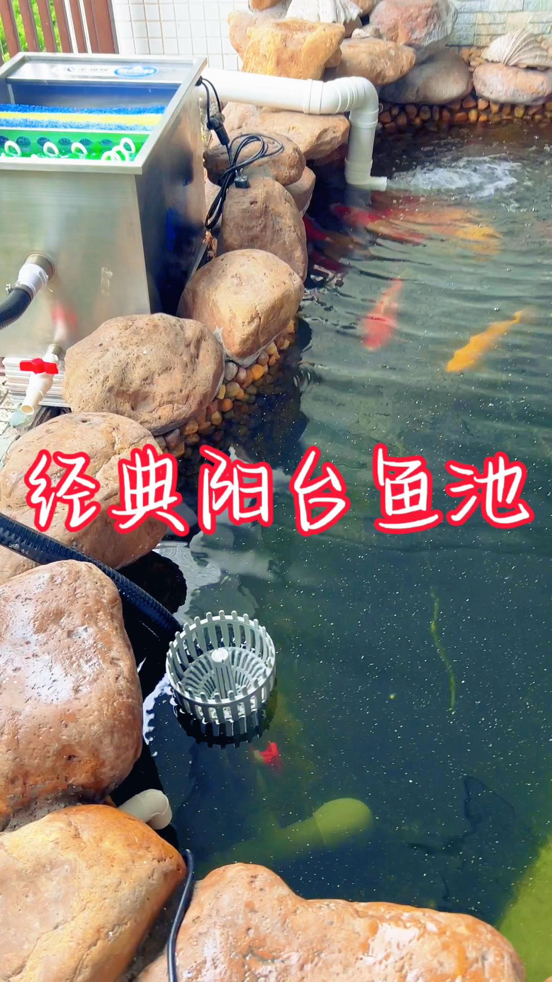 经典阳台鱼池过滤系统案例