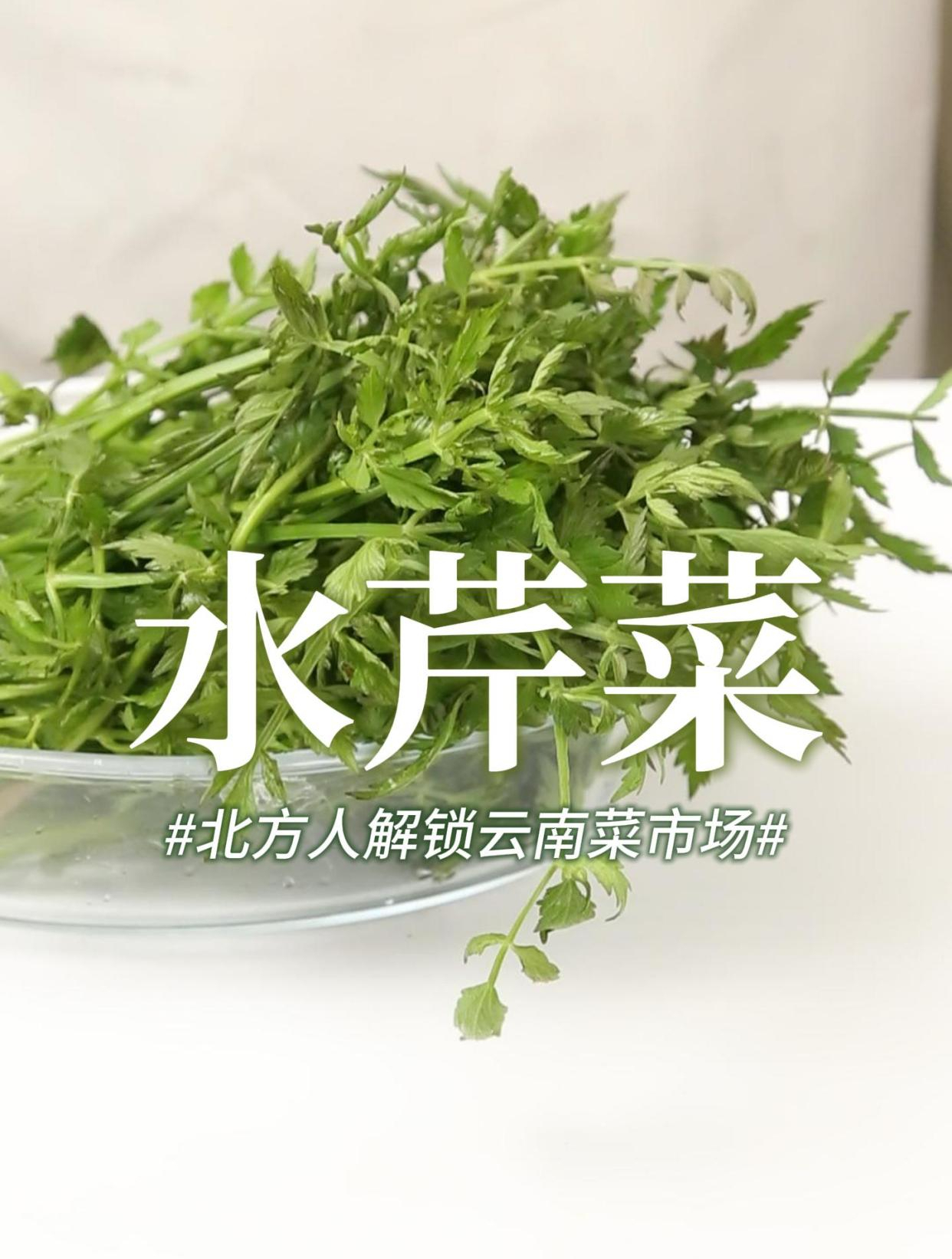 云南版本的野芹菜,加上一个“水”字,就是3倍的香!