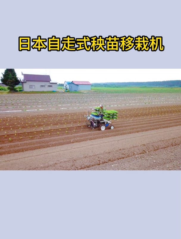 日本自走式蔬菜秧苗移栽机,轻松高效,种菜的好帮手!