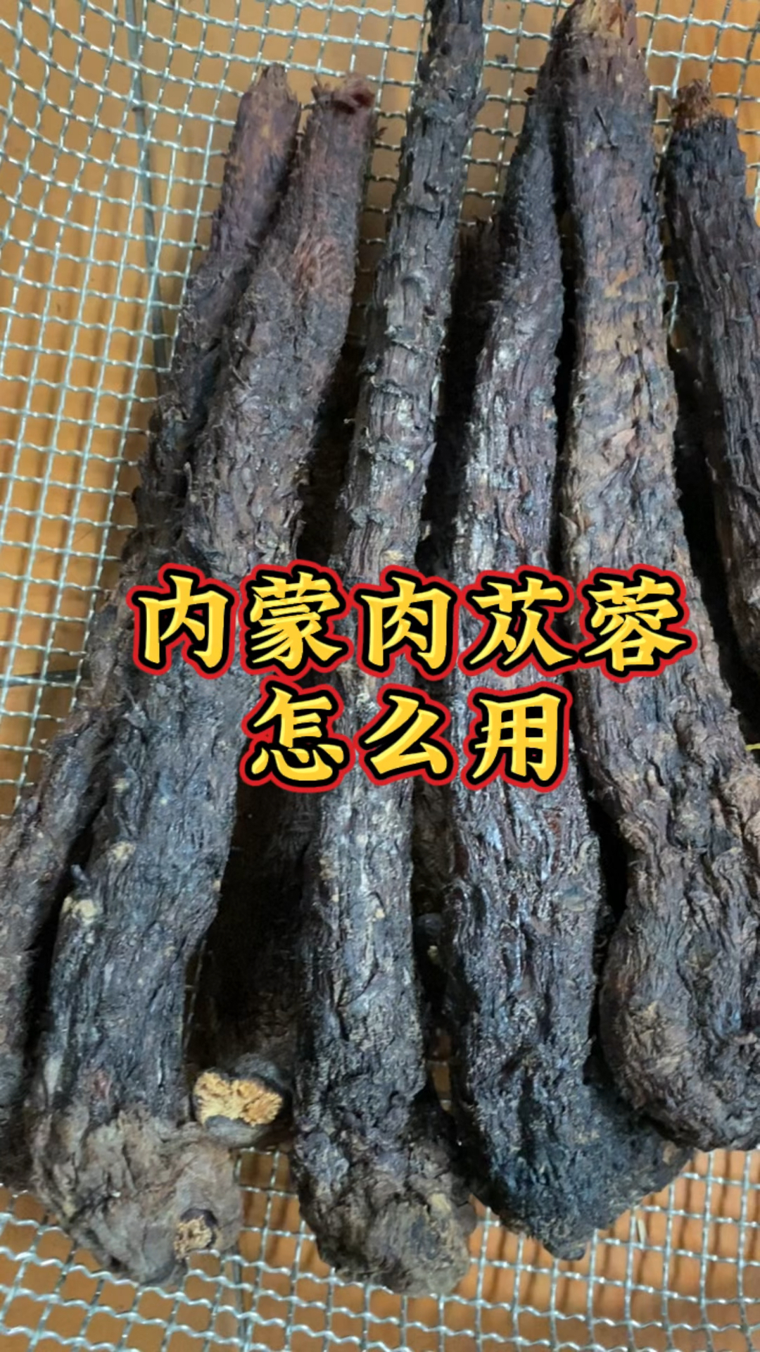 内蒙肉苁蓉怎么用