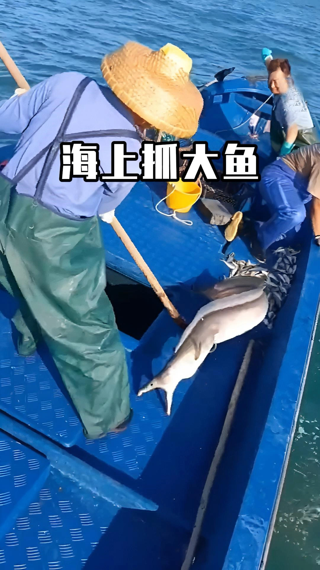 渔民海里抓鱼,一钩子就是一条大鱼