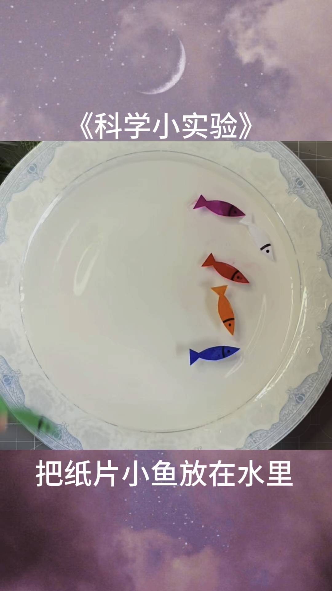 让纸片小鱼学会游泳～亲子手工