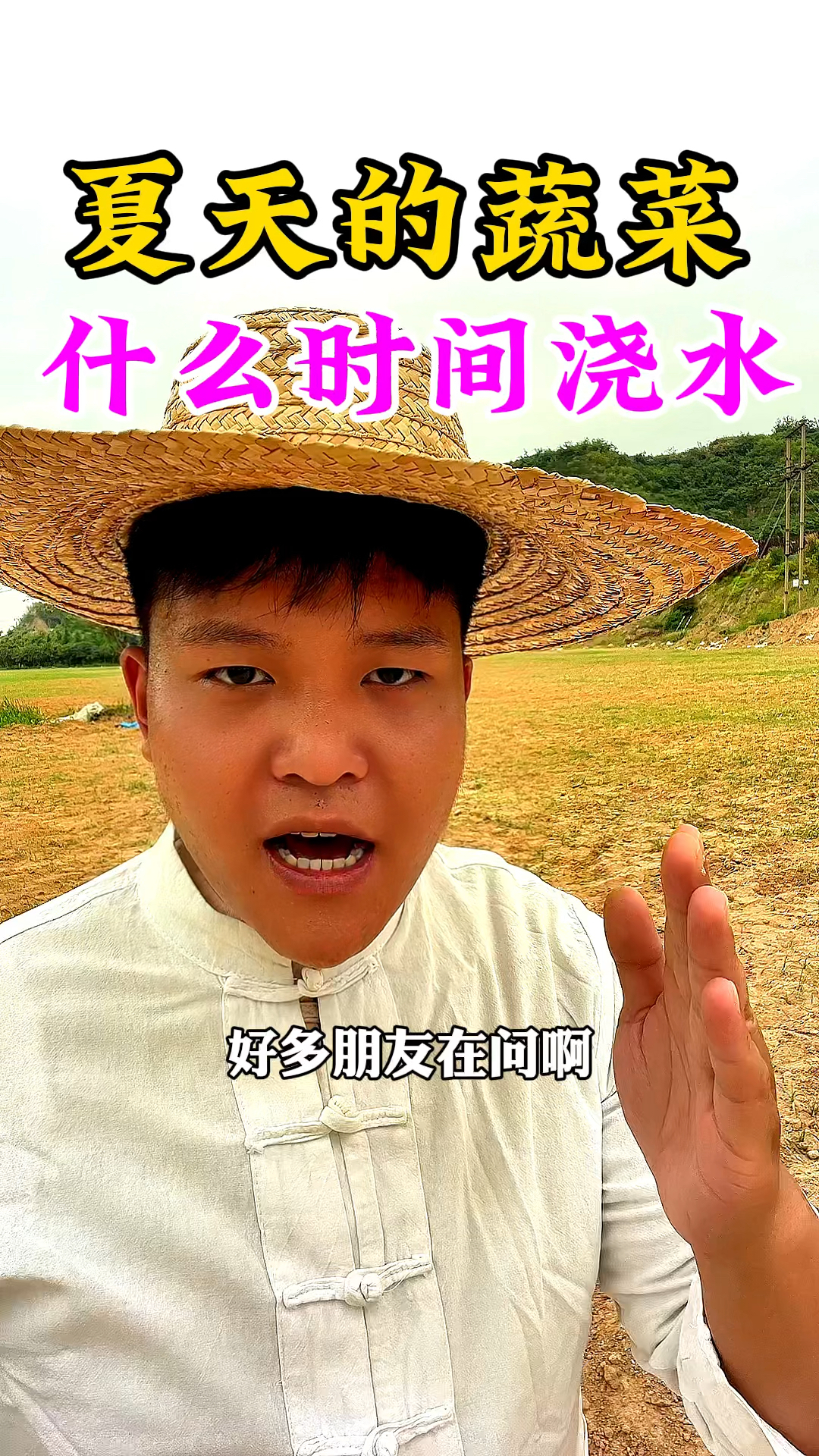 好多朋友在问,夏天的蔬菜,什么时候浇水比较好