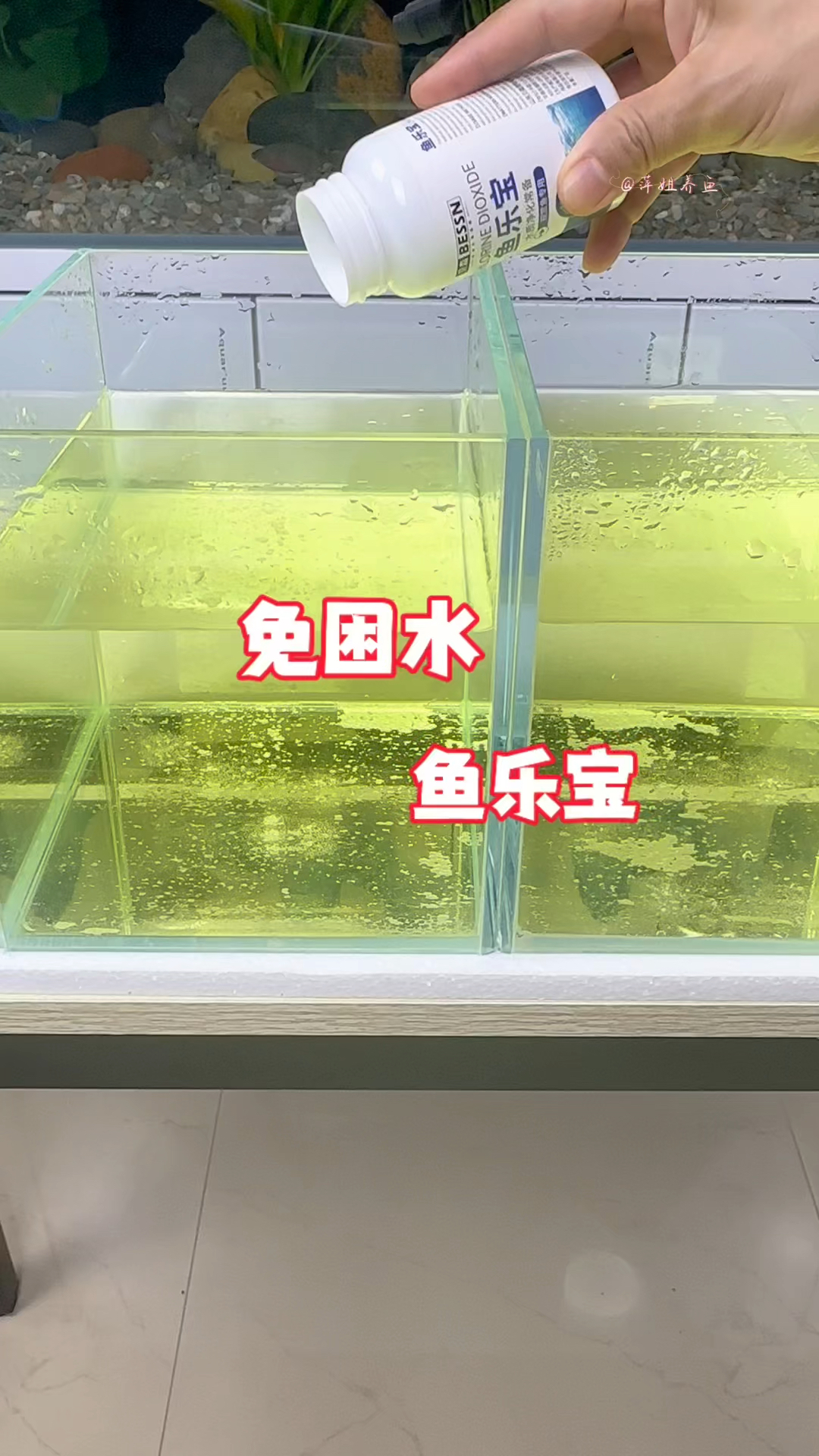想用自来水养鱼的直接扔两三片鱼乐宝就能免去困水除氯气的麻烦