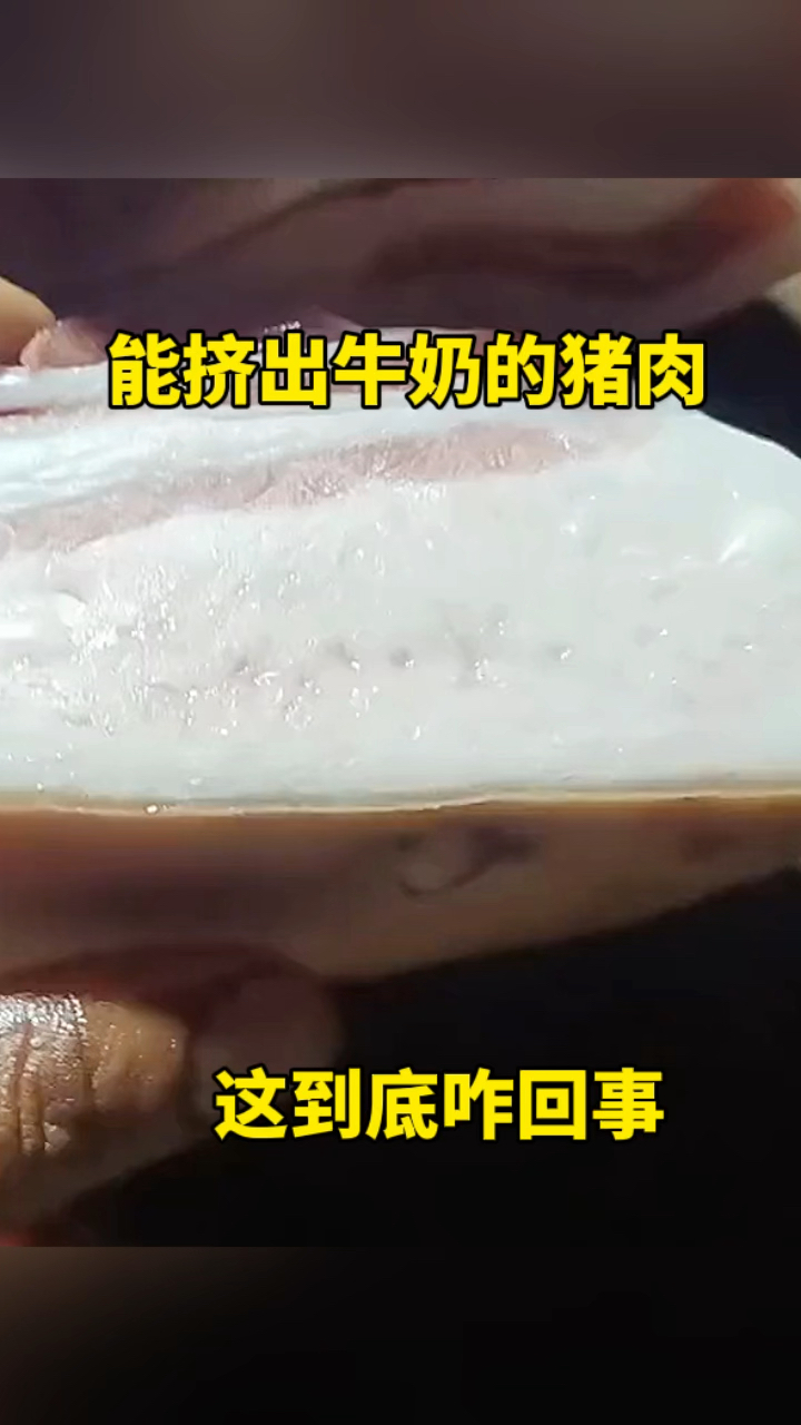 能挤出牛奶的猪肉,这到底咋回事?