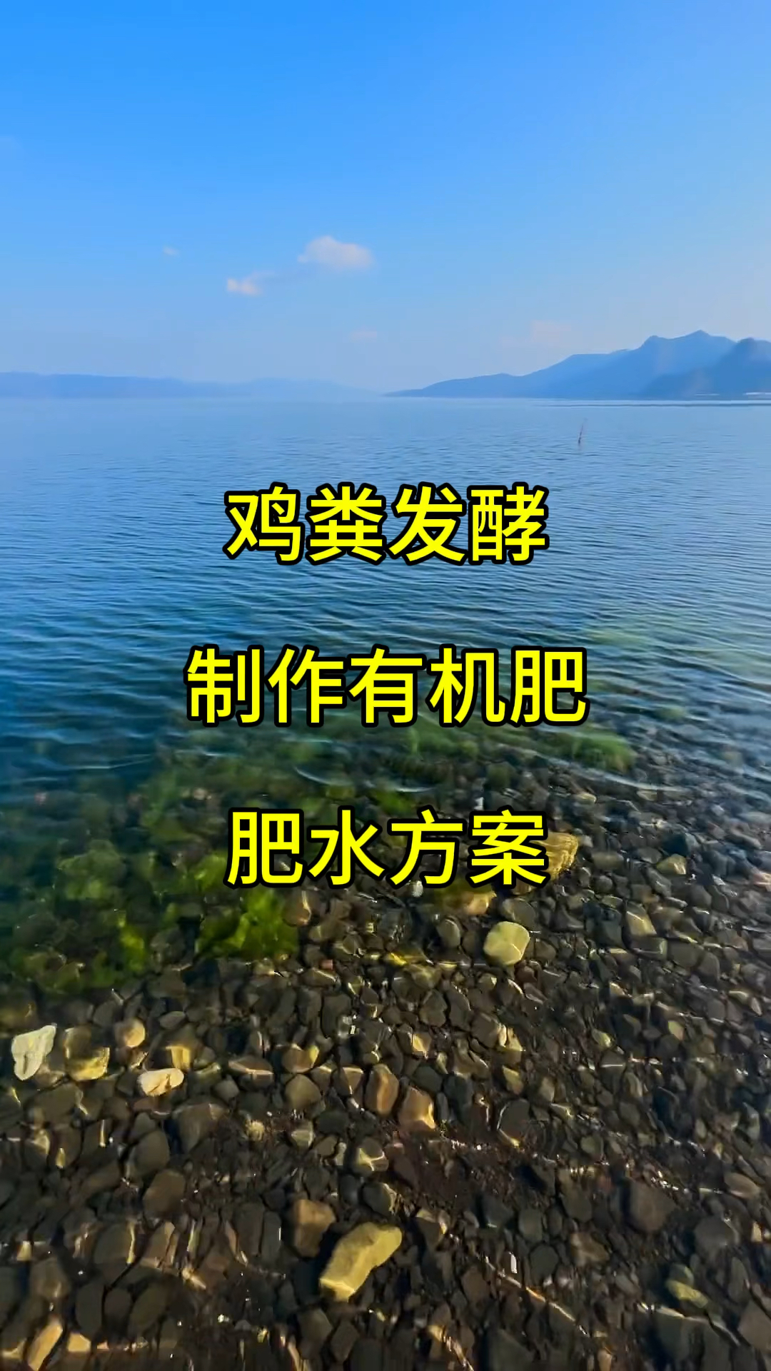 鸡粪肥水,肥水快成本低