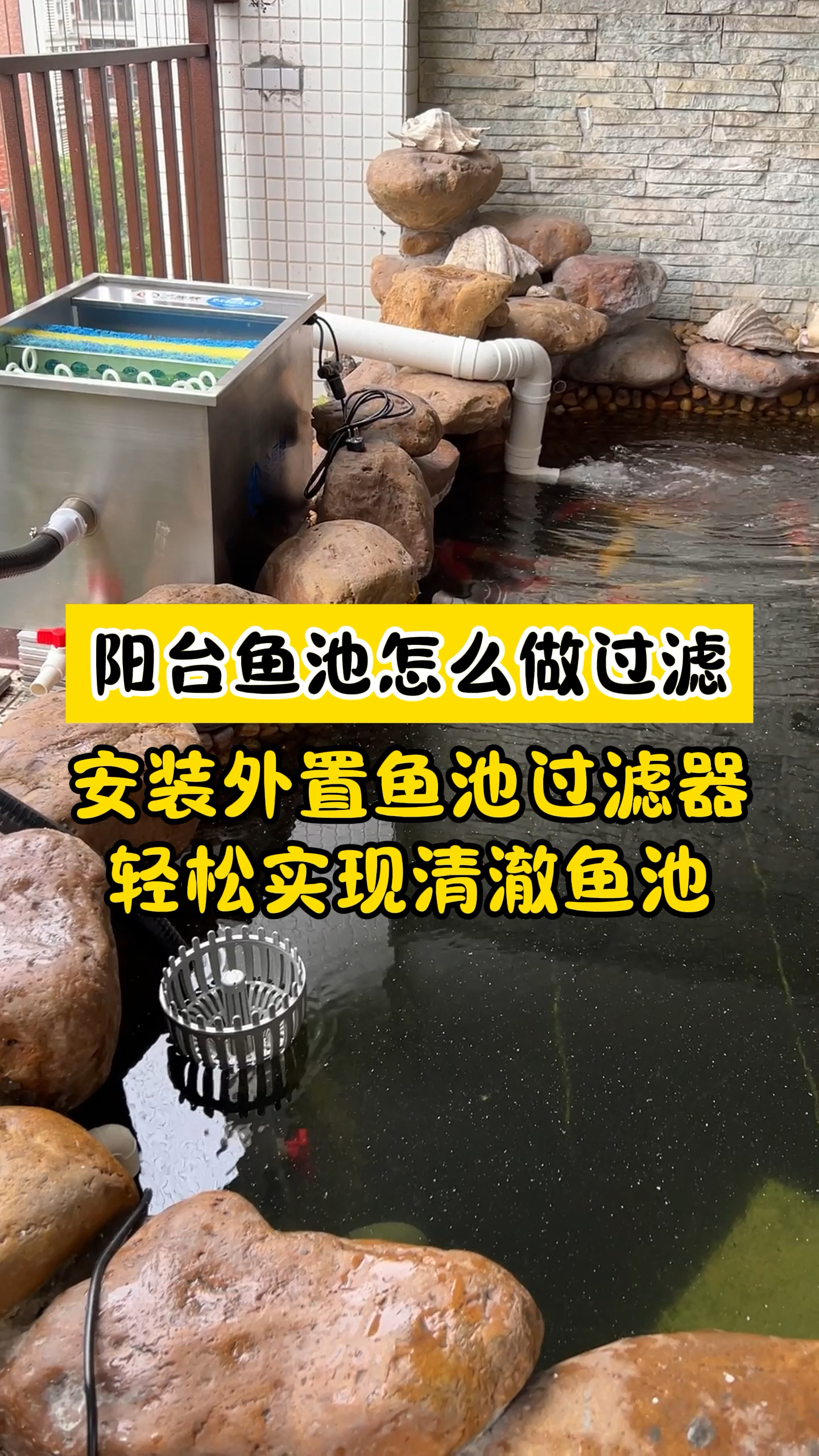 阳台鱼池过滤系统怎么改造?