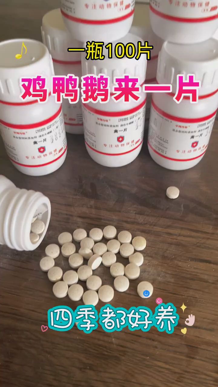 鸡鸭鹅生病来一片