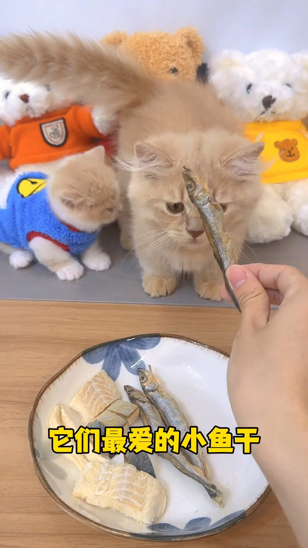 猫咪的小鱼干味道还真不错