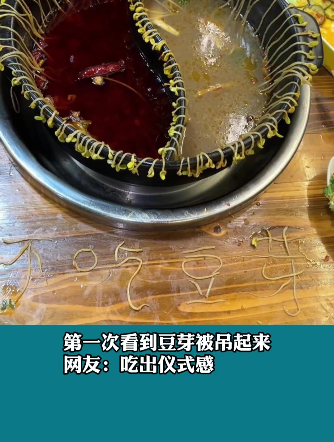 第一次看到豆芽被吊起来 仪式感满满