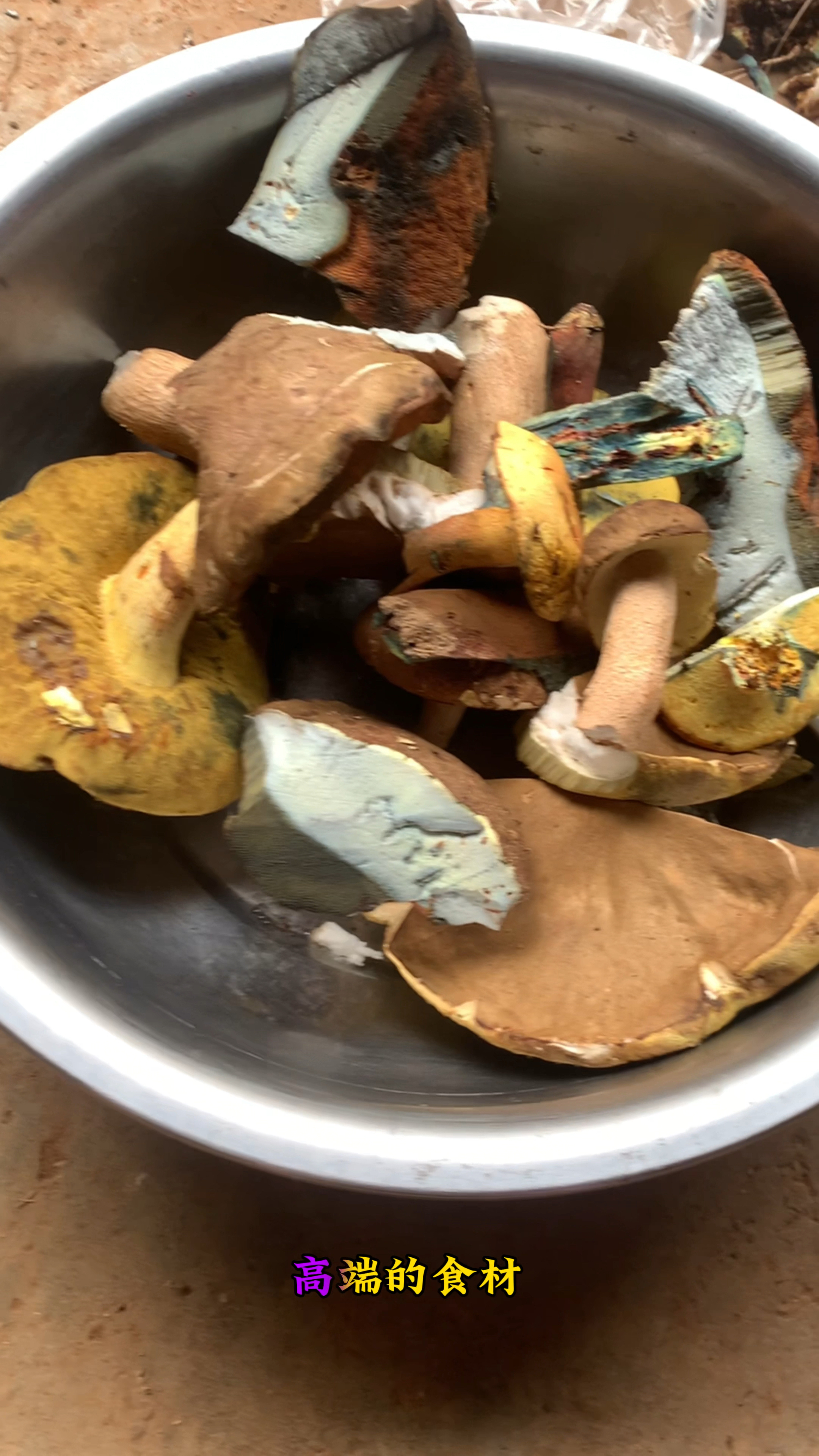 高端的野生菌往往只需要最朴素的烹饪方式