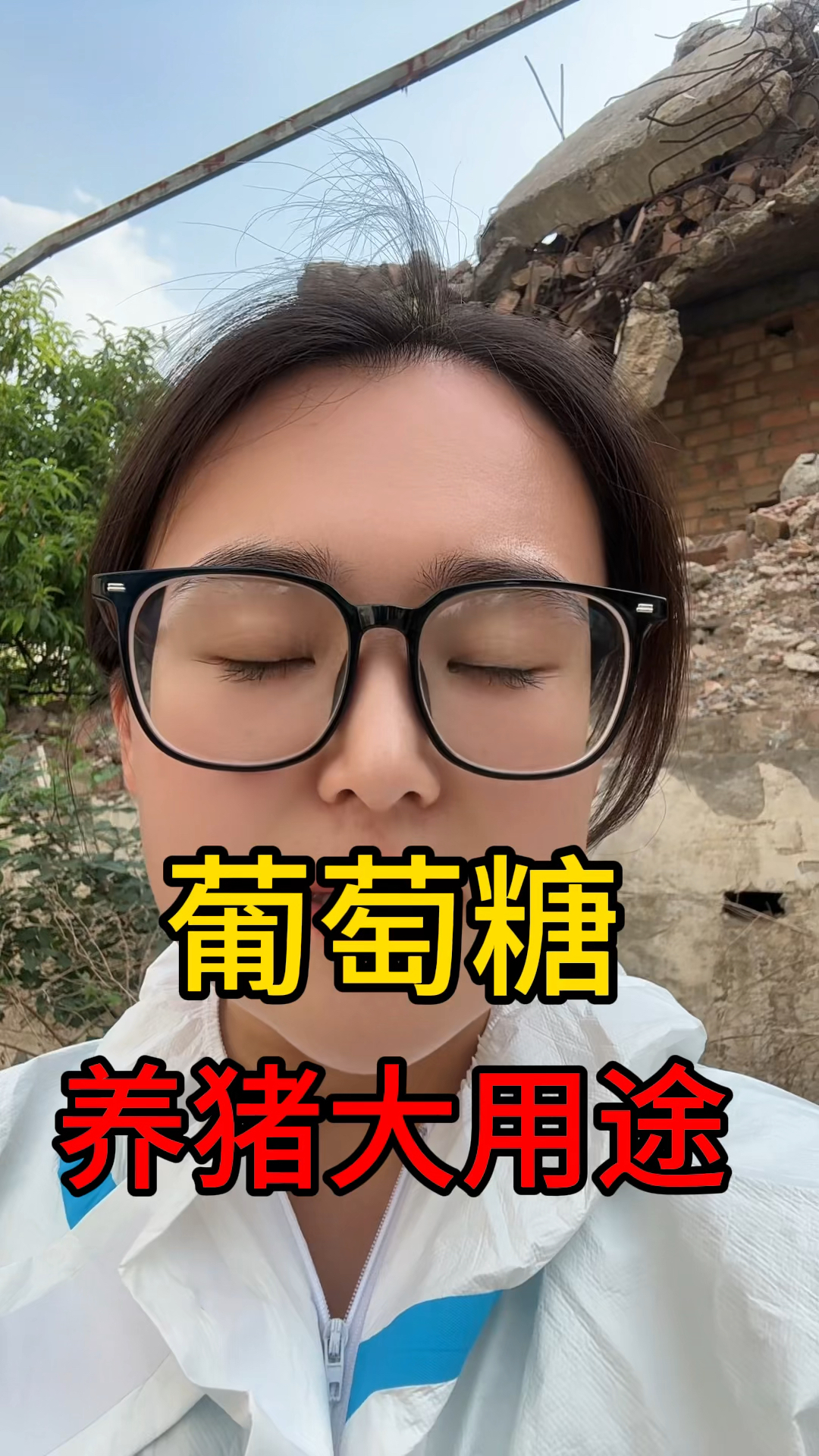 葡萄糖,养猪用途大