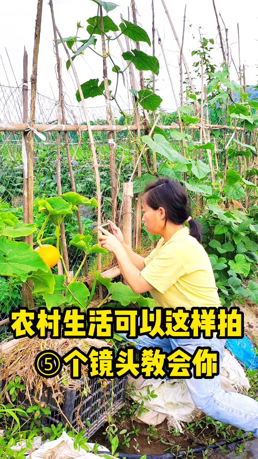 农村的蔬菜试试这样拍太美了! #手机拍摄小技巧 #治愈系风景
