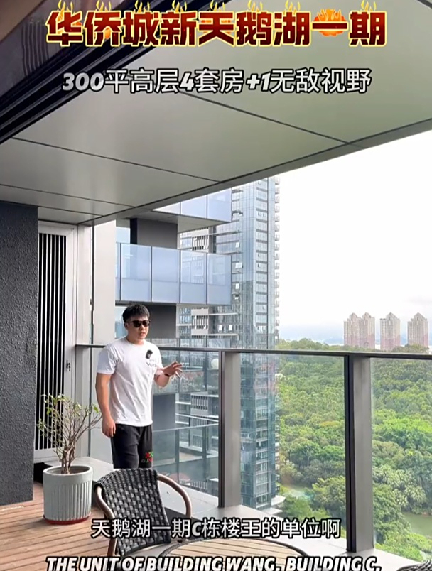 新天鹅湖花园一期C栋楼王户型,拿下它就是王中王,怎么样?