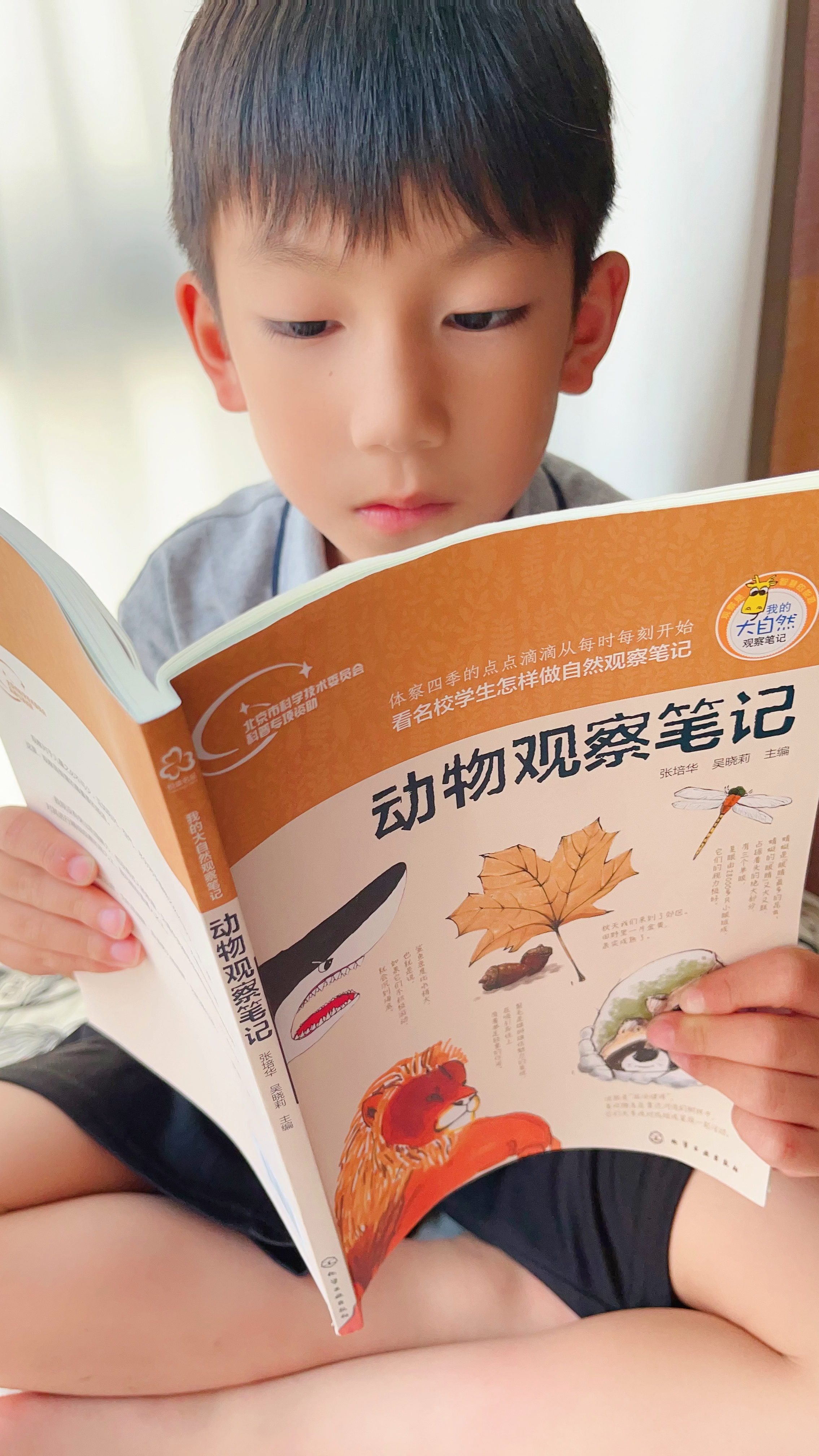 鲸鱼有没有牙齿 每日百科