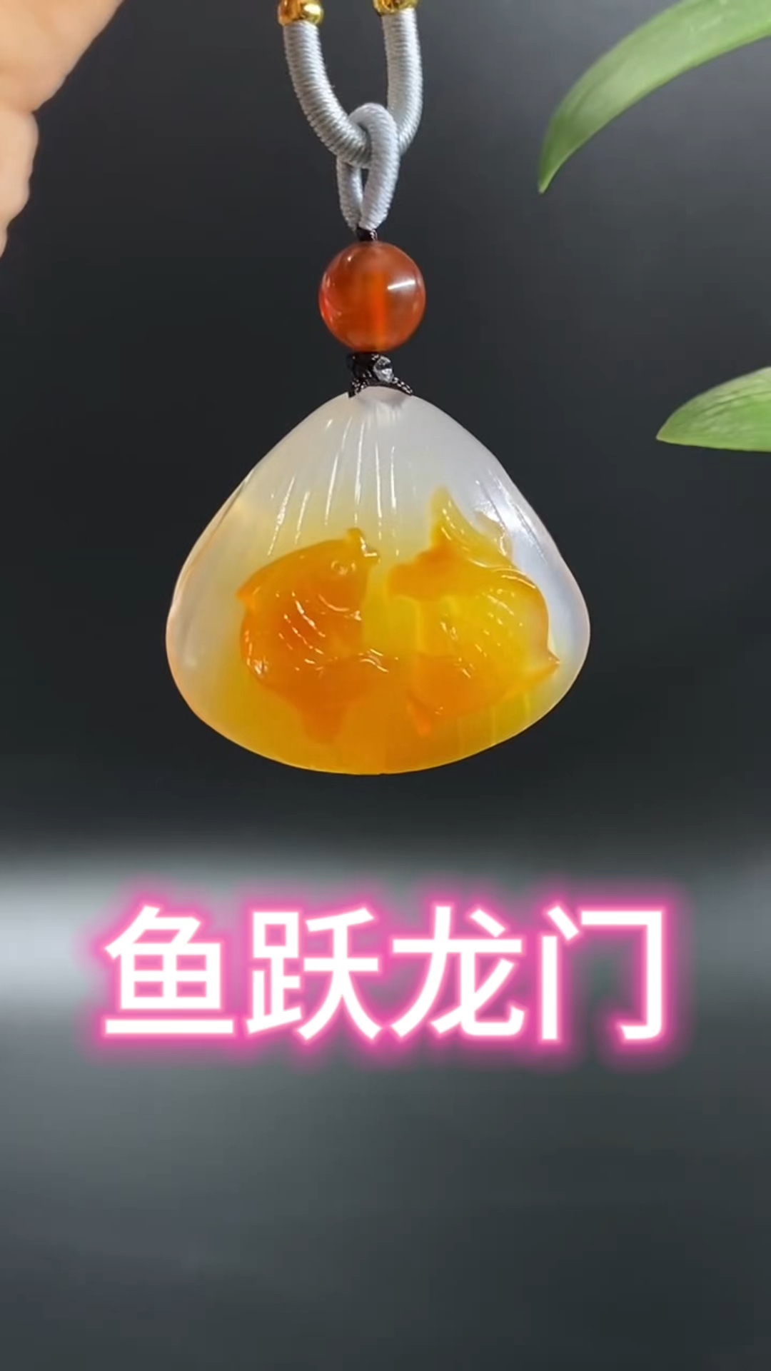 鱼跃龙门的掌上明珠